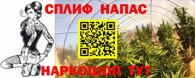 индика Брянск