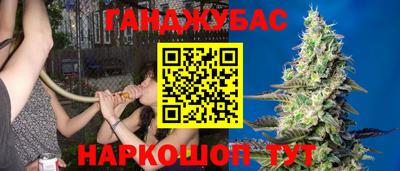 индика Брянск