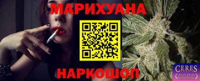 индика Брянск