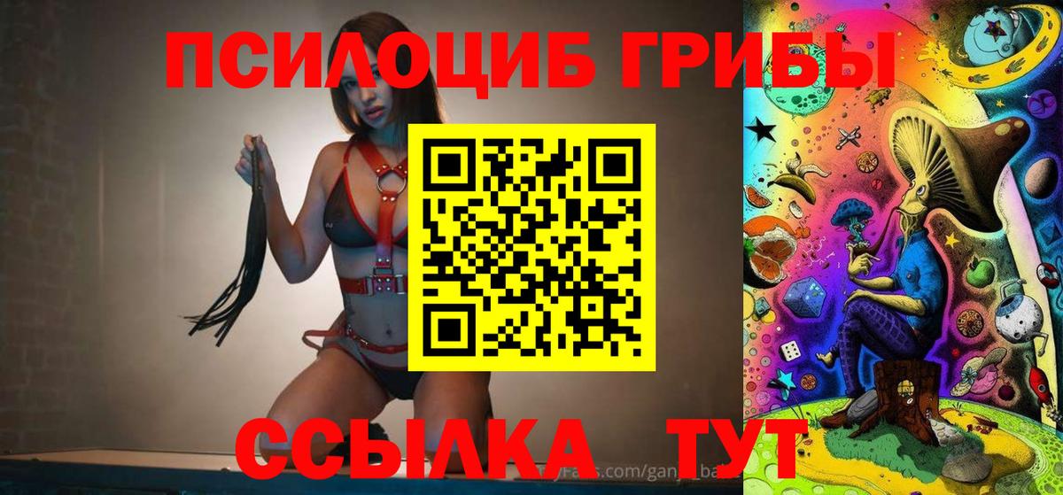 Гулькевичи  Галлюциногенные грибы Cubensis  Вход с VPN 