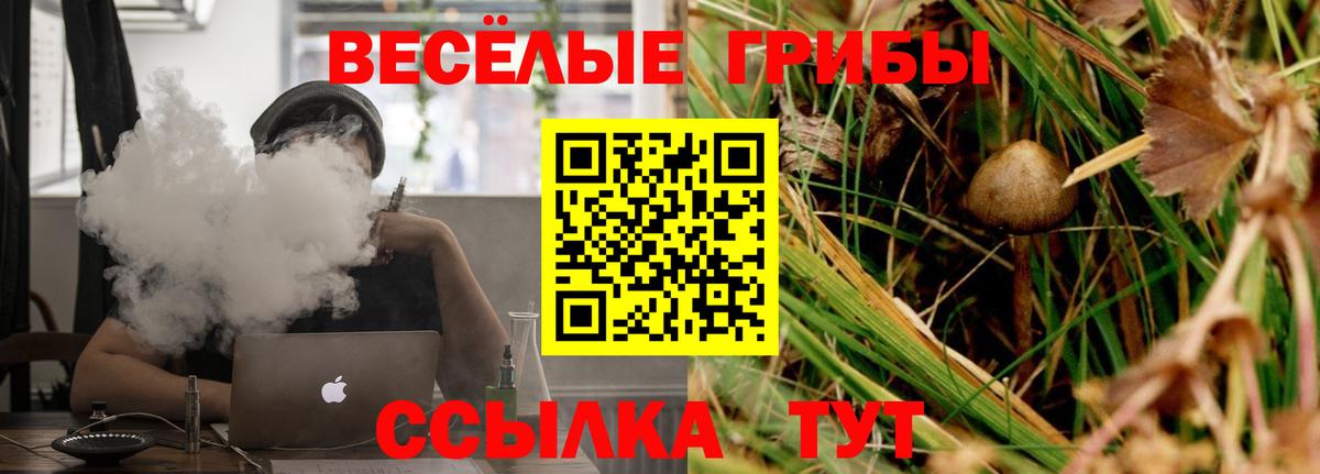 Галлюциногенные грибы Psilocybine cubensis Гулькевичи
